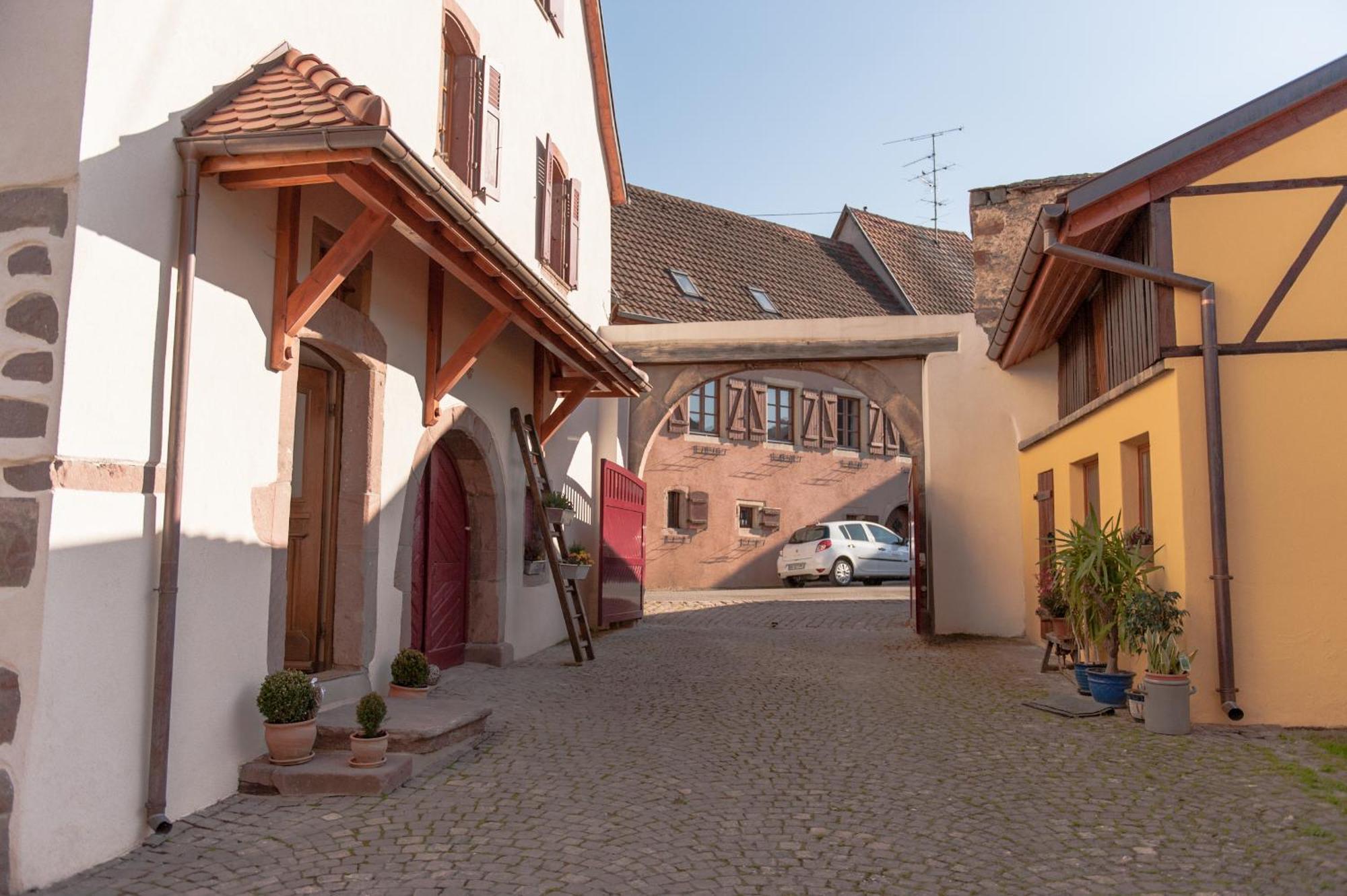 La Maison D'Emilie Pfaffenheim Exterior foto